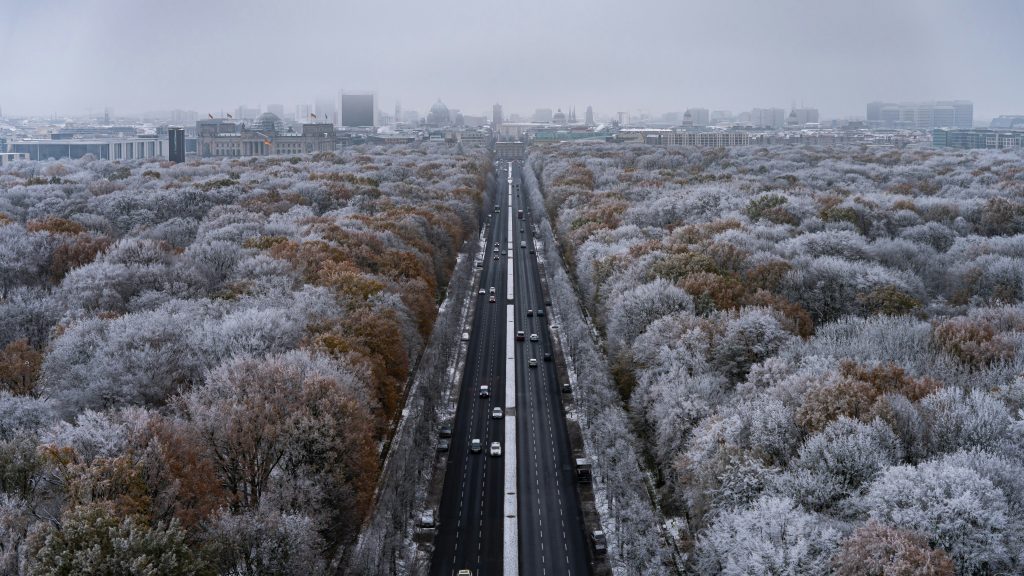 Snowy city avenue with frosted trees and traffic