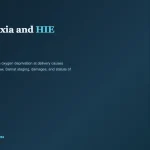 Birth Asphyxia and HIE Claims in Illinois -- infographic showing Sarnat staging, Illinois statute of limitations, and medical malpractice framework